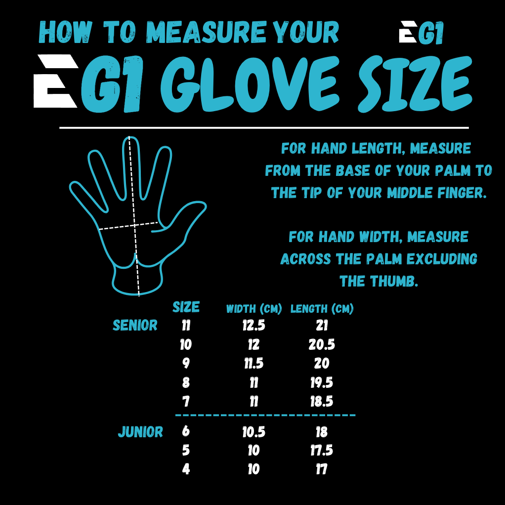 EG1 GECKO V2